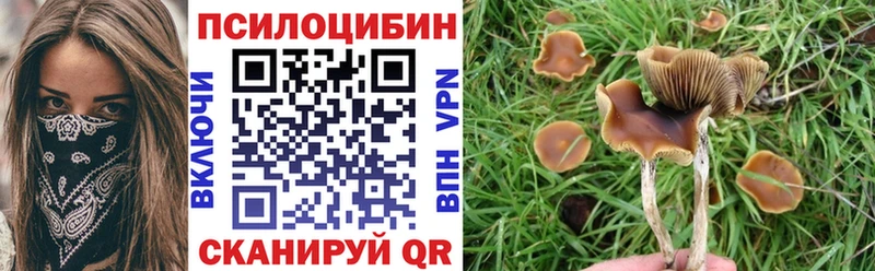 Псилоцибиновые грибы мухоморы  ОМГ ОМГ зеркало  Тейково 